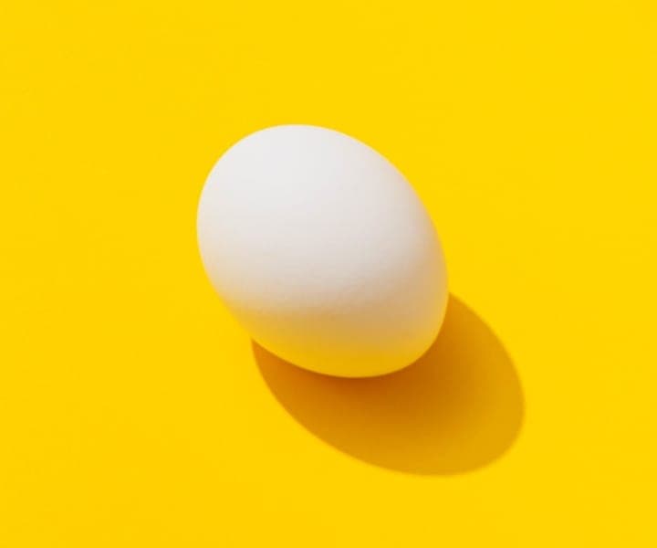 White egg on a yellow background.